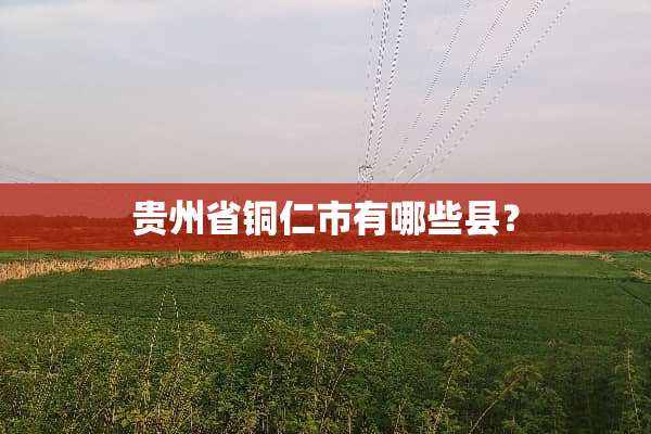 贵州省铜仁市有哪些县？