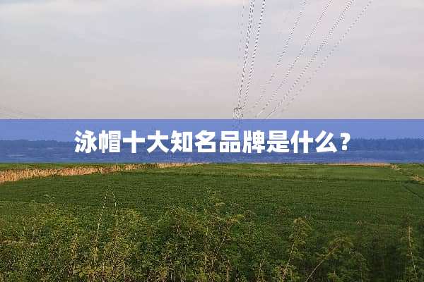 泳帽十大知名品牌是什么？