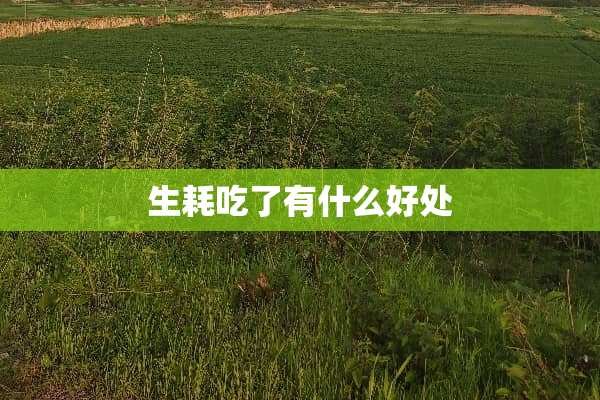 生耗吃了有什么好处