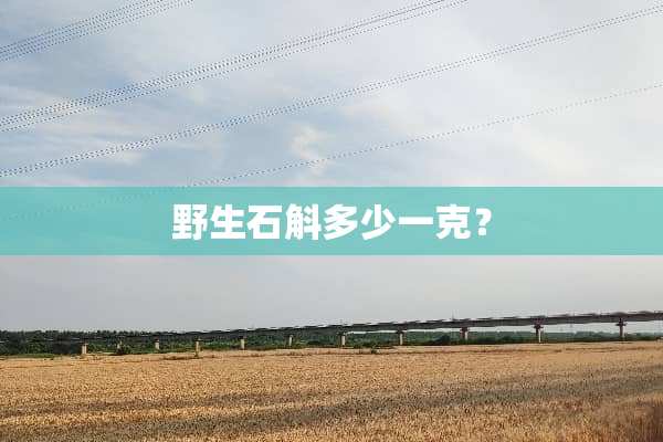 野生石斛多少一克？