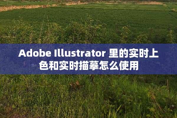 Adobe Illustrator 里的实时上色和实时描摹怎么使用