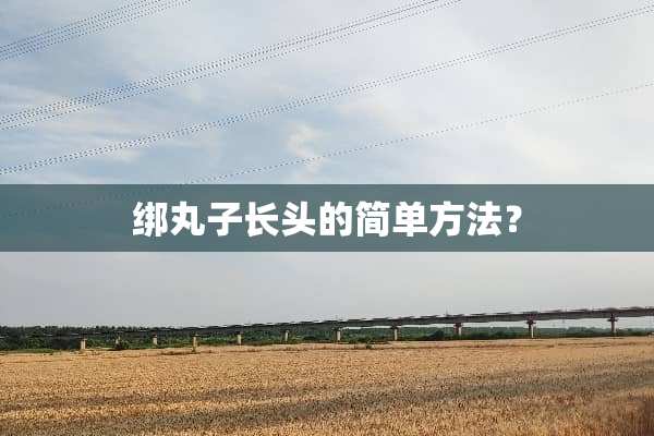 绑丸子长头的简单方法？