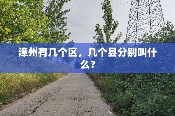 漳州有几个区，几个县分别叫什么？