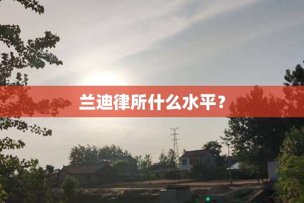 兰迪律所什么水平？
