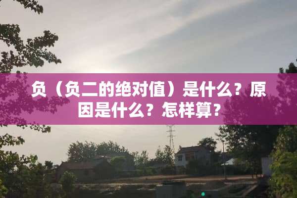 负（负二的绝对值）是什么？原因是什么？怎样算？