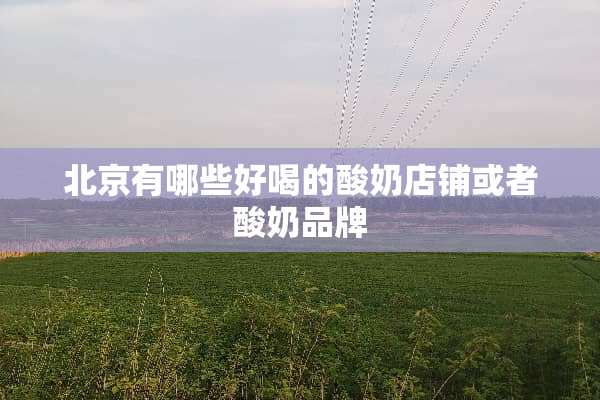 北京有哪些好喝的酸奶店铺或者酸奶品牌