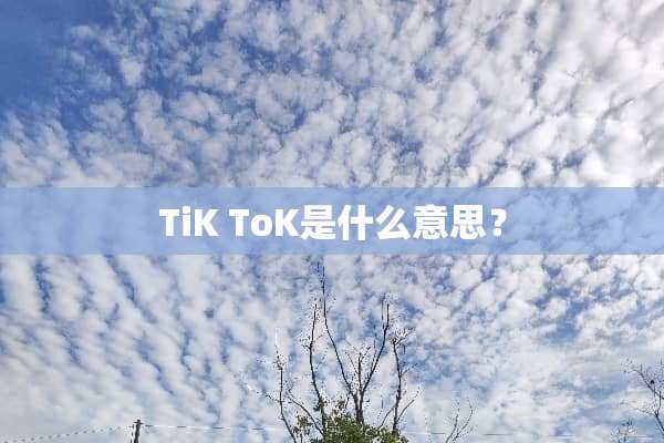 TiK ToK是什么意思？