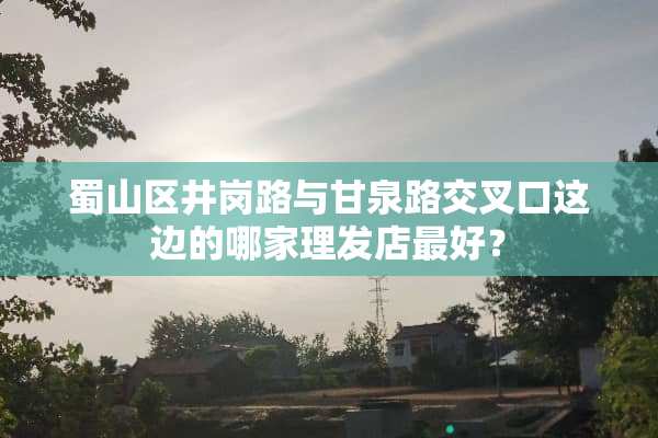 蜀山区井岗路与甘泉路交叉口这边的哪家理发店最好？