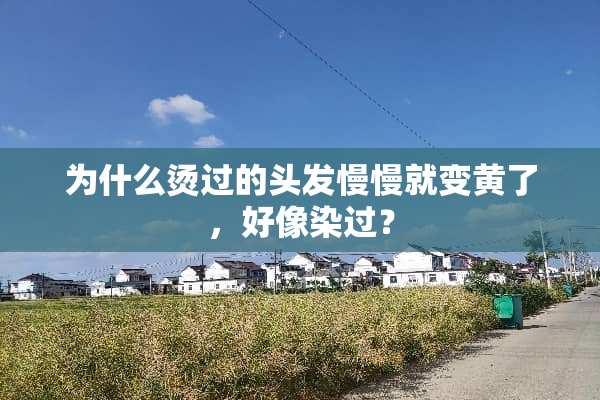 为什么烫过的头发慢慢就变黄了，好像染过？