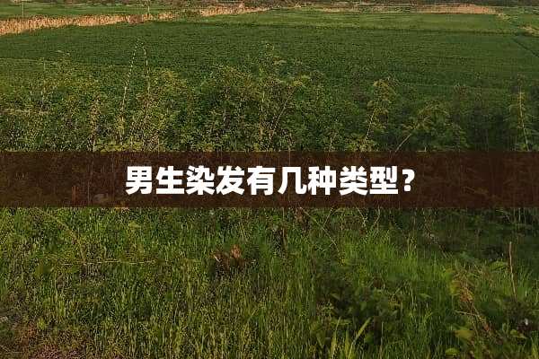 男生染发有几种类型？