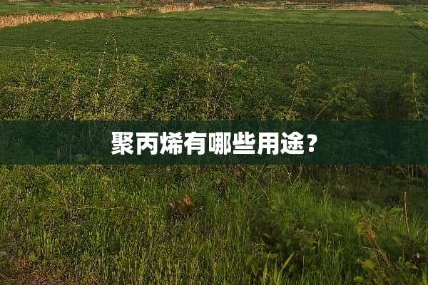 聚丙烯有哪些用途？