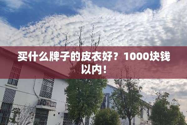 买什么牌子的皮衣好？1000块钱以内！