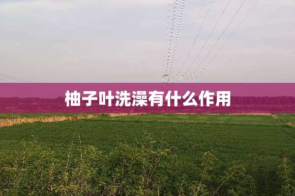 柚子叶洗澡有什么作用