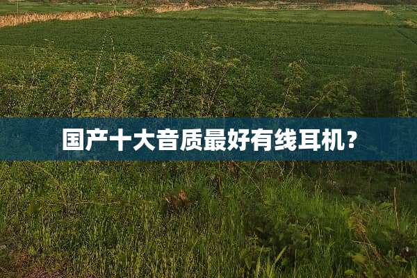 国产十大音质最好有线耳机？