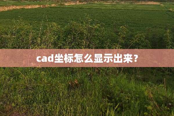 cad坐标怎么显示出来？