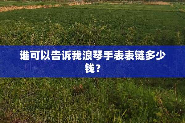 谁可以告诉我浪琴手表表链多少钱？
