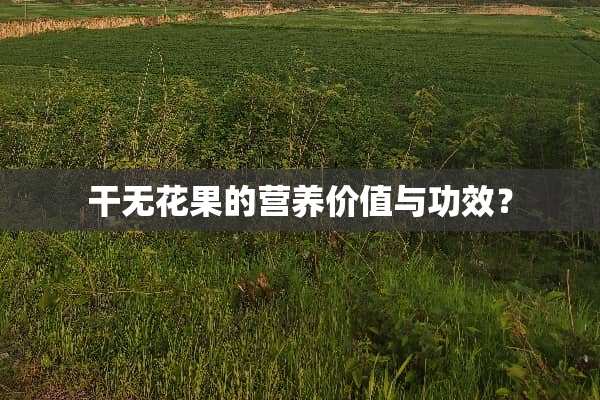 干无花果的营养价值与功效？