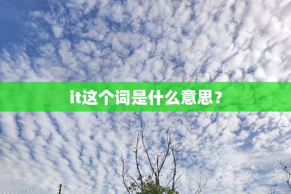 it这个词是什么意思？