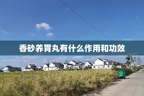 香砂养胃丸有什么作用和功效