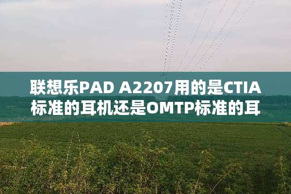联想乐PAD A2207用的是CTIA标准的耳机还是OMTP标准的耳机呢？