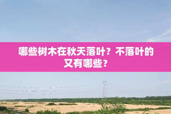 哪些树木在秋天落叶？不落叶的又有哪些？