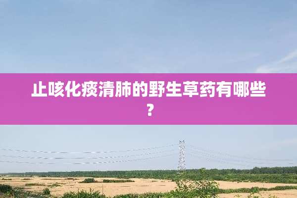 止咳化痰清肺的野生草药有哪些？