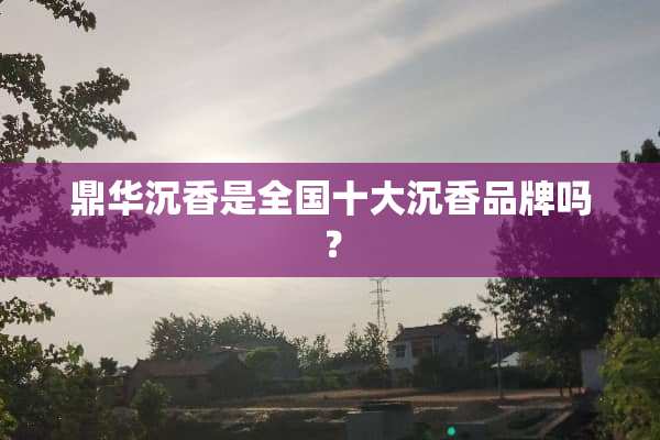鼎华沉香是全国十大沉香品牌吗？