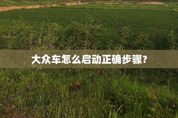 大众车怎么启动正确步骤？