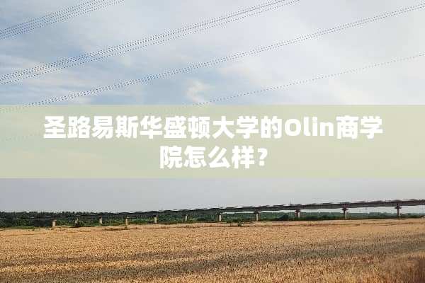 圣路易斯华盛顿大学的Olin商学院怎么样？