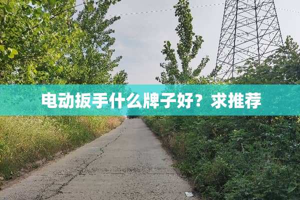 电动扳手什么牌子好？求推荐