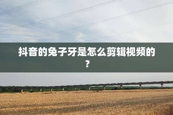 抖音的兔子牙是怎么剪辑视频的？