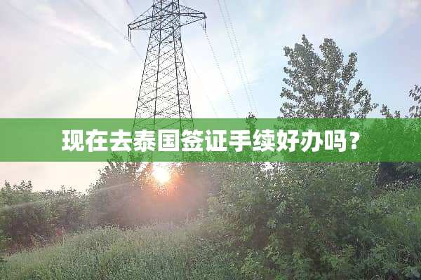 现在去泰国签证手续好办吗？