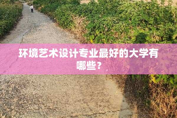 环境艺术设计专业最好的大学有哪些？