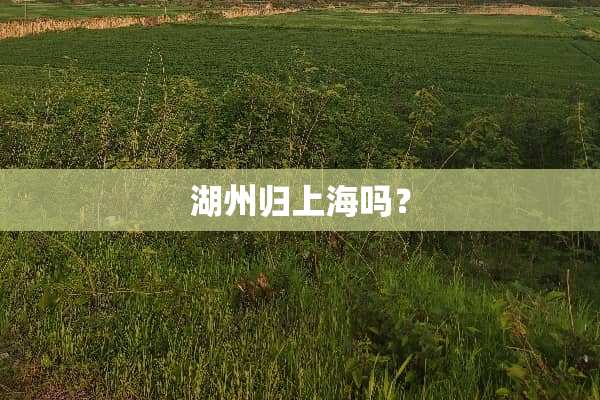 湖州归上海吗？