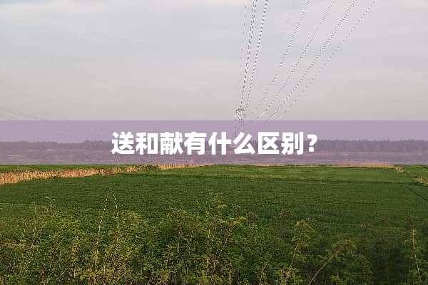 送和献有什么区别？