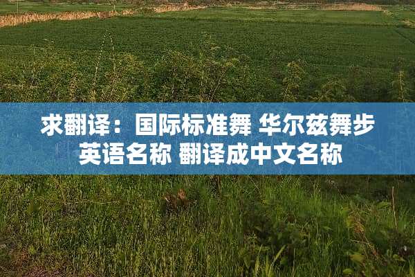 求翻译：国际标准舞 华尔兹舞步 英语名称 翻译成中文名称