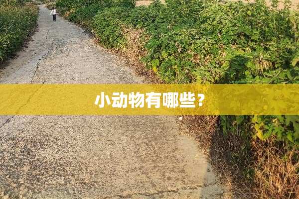 小动物有哪些？