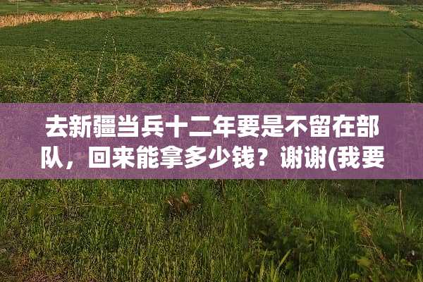 去新疆当兵十二年要是不留在**，回来能拿多少钱？谢谢(我要具体数字)