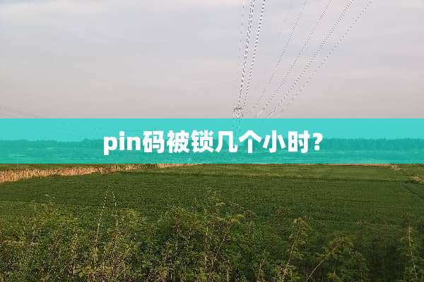 pin码被锁几个小时？