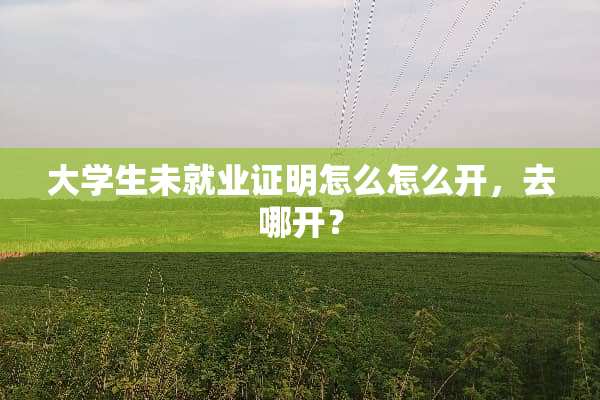 大学生未就业证明怎么怎么开，去哪开？