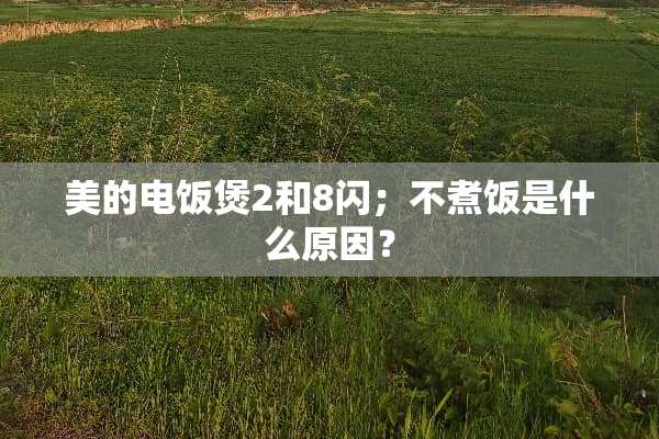 美的电饭煲2和8闪；不煮饭是什么原因？