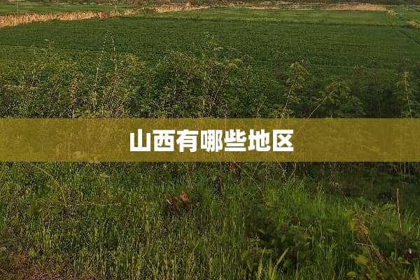 山西有哪些地区
