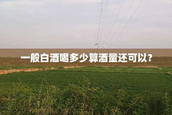 一般白酒喝多少算酒量还可以？