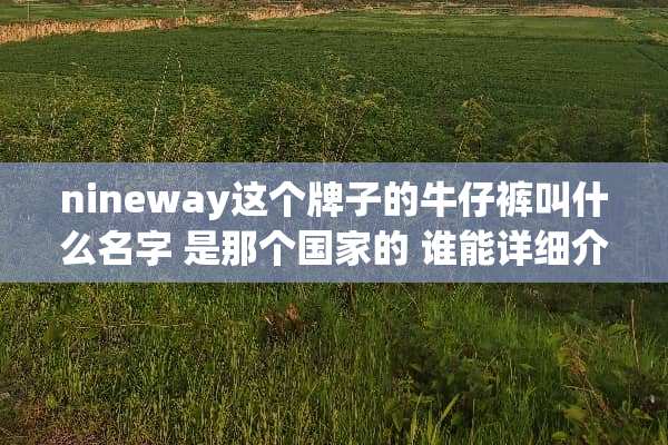 nineway这个牌子的牛仔裤叫什么名字 是那个国家的 谁能详细介绍下
