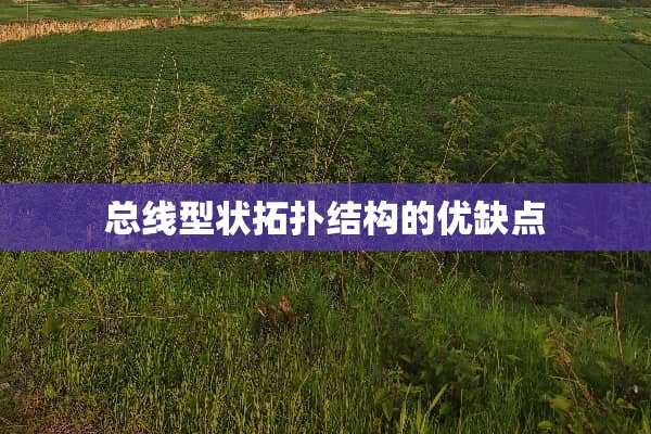 总线型状拓扑结构的优缺点