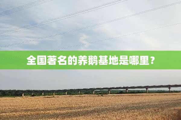 全国著名的养鹅基地是哪里？