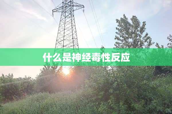 什么是神经毒性反应