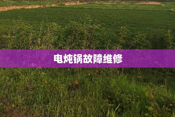 电炖锅故障维修