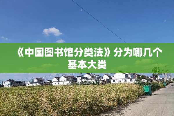 《中国图书馆分类法》分为哪几个基本大类