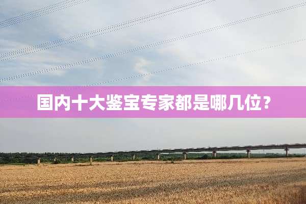 国内十大鉴宝专家都是哪几位？